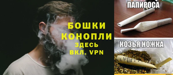 ГАЛЛЮЦИНОГЕННЫЕ ГРИБЫ Осташков
