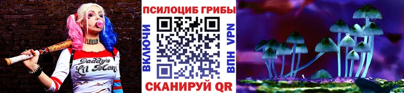 Псилоцибиновые грибы мухоморы  Купить закладки  Александровск-Сахалинский 